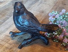 Kleiner Vogel / Spatz auf