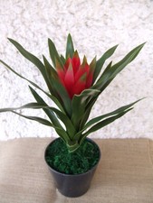 Künstliche Bromelie im Topf