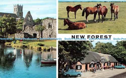 R547720 new forest - r547720,