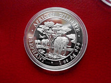 Somalia African Wildlife