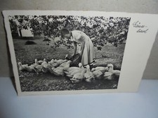 Echt Foto AK Gänse-liesel  Mädchen,Korb,GänseWiese,Baum,Haus gel.19.8.35