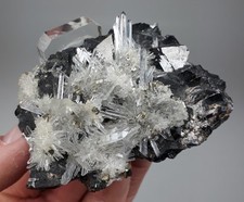 Sphalerit, Quarz, Pyrit - Quiruvilca Mine, La Libertad, Peru