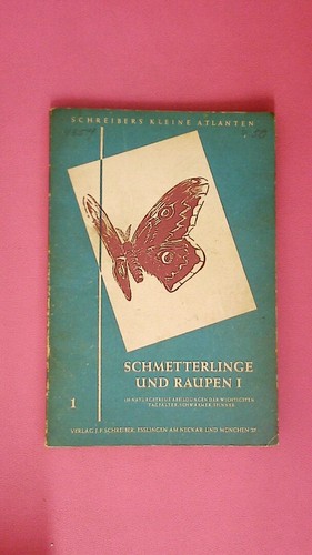 252842 schmetterlinge und - 252842,