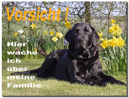 Labrador-Hund-Alu-Schild-15x10