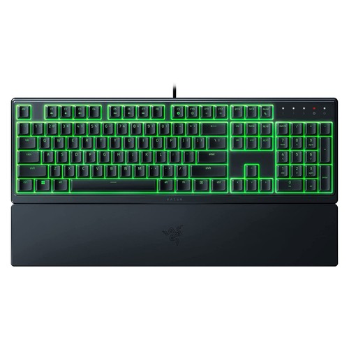 Razer ornata german - x,