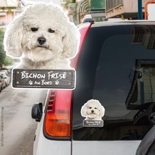 Bichon Frise an Bord