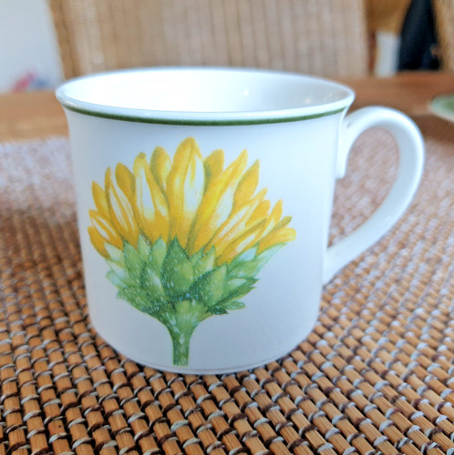 Flora tournesol - v&b,
