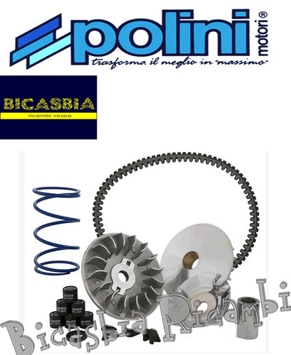 6408 variator polini - variator,