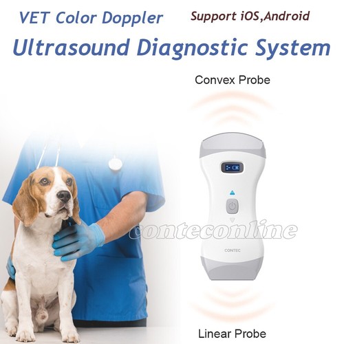 Veterinär handgehaltenes