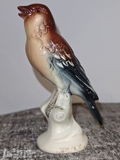 Hertwig  Katzhütte  Buchfink