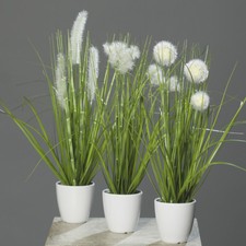 3er Gras-Set 36cm im weißen