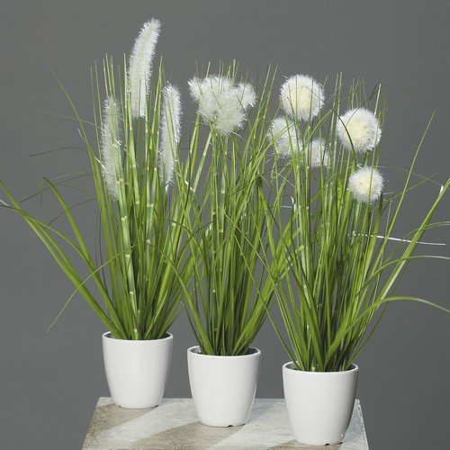3er gras set 36cm weißen - 36cm,