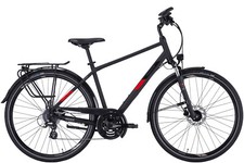 Pegasus Solero, Herren