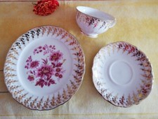 Sammlerstück Winterling