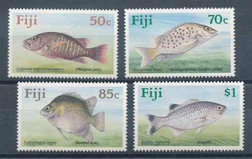 753114 fidschi inseln - fidschi,