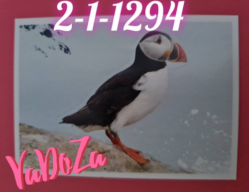 Abenteuer tierwelt vogel - ,