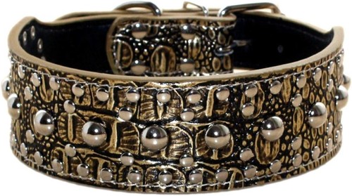 Hundehalsband aus leder mit - aus,