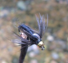 Gilchrist Fliegen. 3 x  Goldkopfnymphen DUCK FLY. Auswahl von Größen