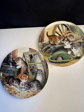 Bradex Seltmann Weiden