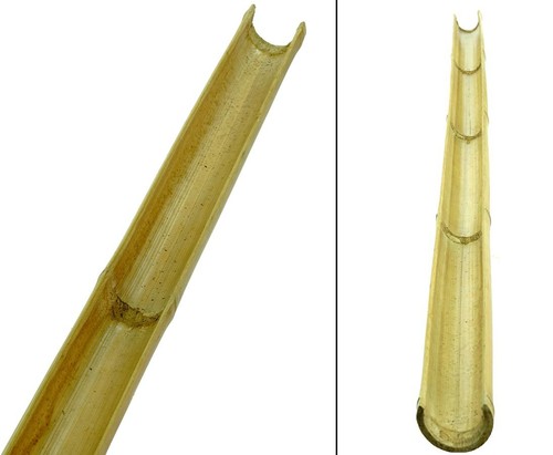 Bambusrohr kappe als 3 - kappe,