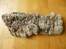 Korkrinde Kork Rinde für Modelleisenbahn Modellbau Terrarium