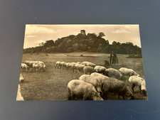 AK Tomburg Wormersdorf Rheinbach Schafherde  ungelaufen  CP Ansichtskarte