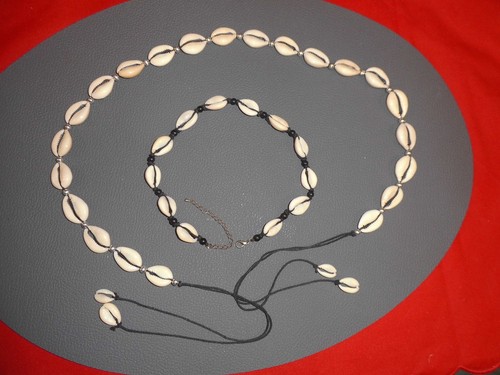 Kauri muscheln flacher - kauri,