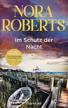 Schutz der nacht roman - schutz,