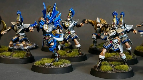 Blood bowl high - bowl, elv