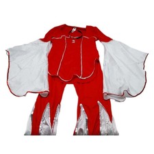 Fancy Dress Super Trooper