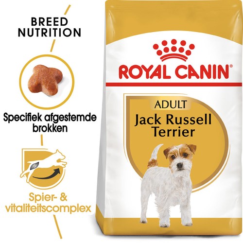 Royal canin jack - royal, russell
