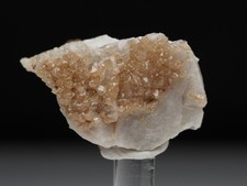 Scheelit, Quarz, Zinnwald