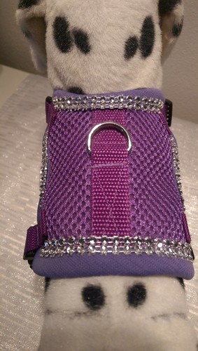 Softgeschirr brustgeschirr - ,