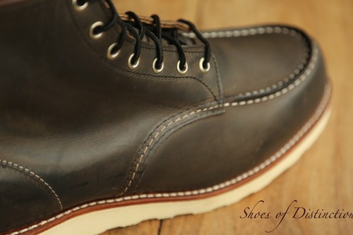Redwing red wing - wing, braun