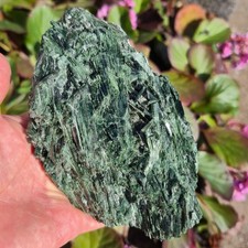 🔥Video🔥Top Kabinettstufe