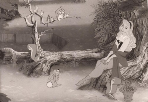 Walt disney wunderbare - pf, disney´s