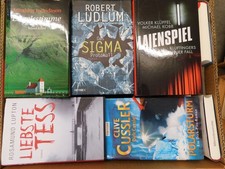 29 Bücher Romane Krimi