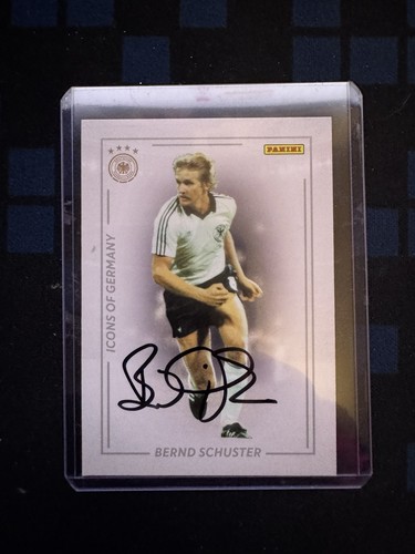 Panini dfb 2024 - panini, team-set