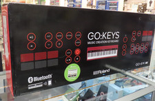 Roland 61 key keyboard GO
