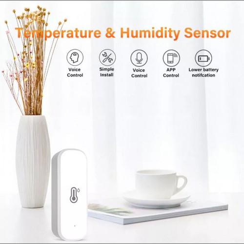 Smart wifi zig - smart, temperature