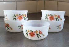 5x Arcopal Auflaufförmchen