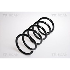 Triscan Feder hinten für