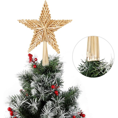 Weihnachtsstern aus - 25,