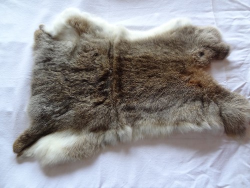Kaninchen hasen fell - hasen, basteln