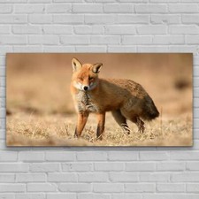 Glasbilder Wandbild Groß