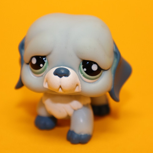 Hasbro littlest pet shop - hasbro,