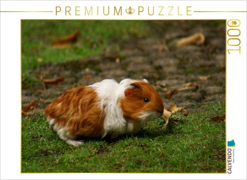 Calvendo puzzle rot weißes - puzzle,