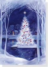 Mini Box: Christmas Island