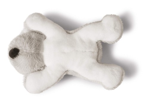 Nici wild friends koala - nici,
