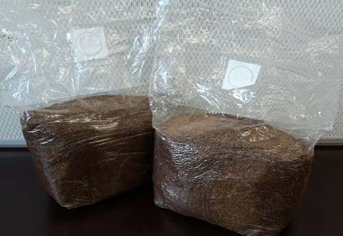 Pilzzucht steriles substrat - steriles,